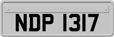 NDP1317