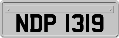 NDP1319
