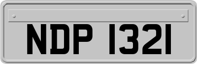 NDP1321