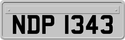 NDP1343