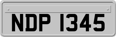 NDP1345