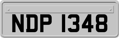 NDP1348