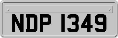 NDP1349