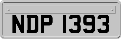 NDP1393