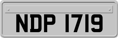 NDP1719