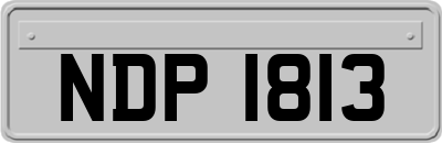 NDP1813