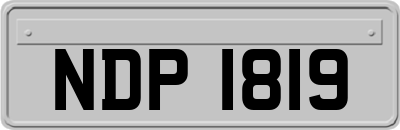 NDP1819