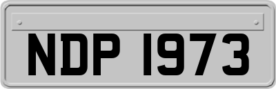 NDP1973