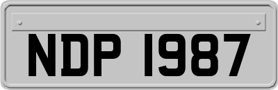 NDP1987