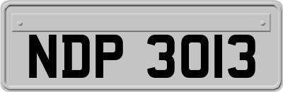 NDP3013