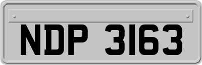 NDP3163