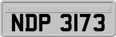 NDP3173