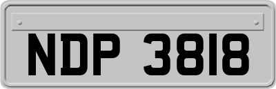 NDP3818