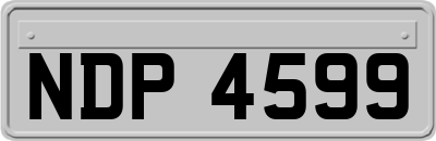 NDP4599