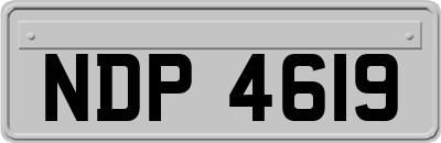 NDP4619