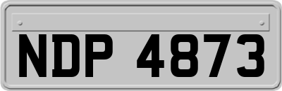 NDP4873