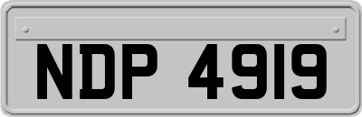 NDP4919