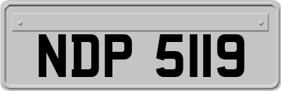 NDP5119