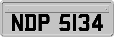 NDP5134