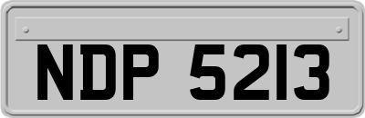 NDP5213