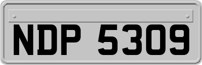 NDP5309