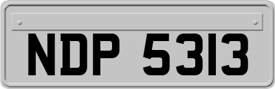 NDP5313