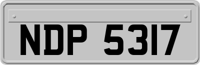 NDP5317