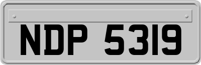 NDP5319