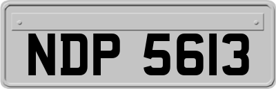 NDP5613