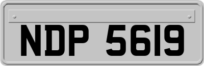 NDP5619