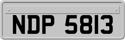 NDP5813