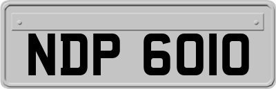NDP6010