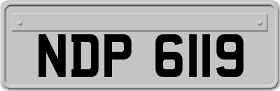 NDP6119