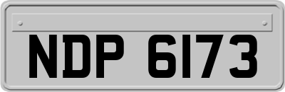 NDP6173