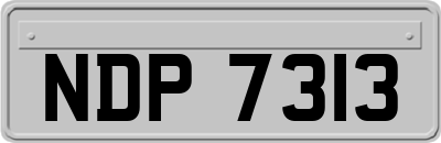 NDP7313