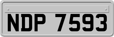 NDP7593