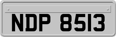 NDP8513