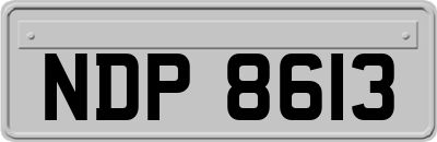 NDP8613