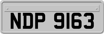 NDP9163