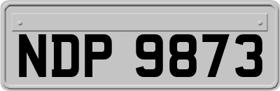 NDP9873
