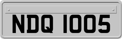 NDQ1005