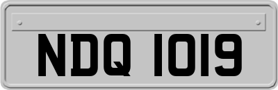 NDQ1019