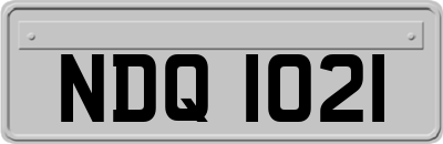 NDQ1021