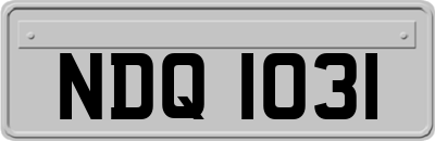 NDQ1031