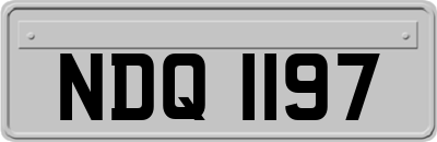 NDQ1197