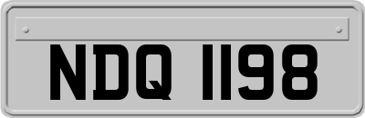 NDQ1198