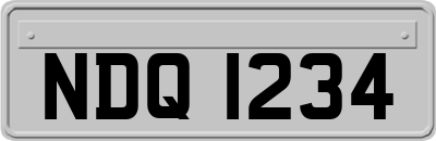 NDQ1234