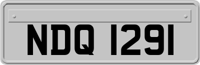 NDQ1291