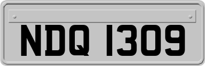 NDQ1309