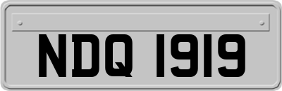 NDQ1919